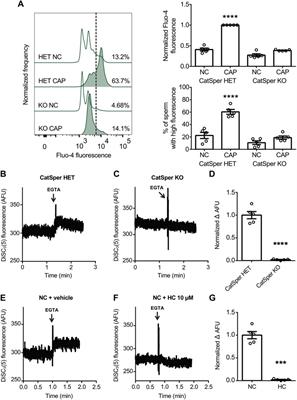 High-throughput screening method for discovering CatSper inhibitors using membrane depolarization caused by external calcium chelation and fluorescent cell barcoding